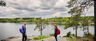 Flora och fauna längs vältrampad 40-åring