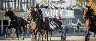 Travet har gott hopp om premiären 