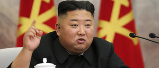 FN: Svält i Nordkorea efter covid-åtgärder