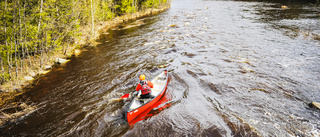 Magisk paddling i Råneå älvdal