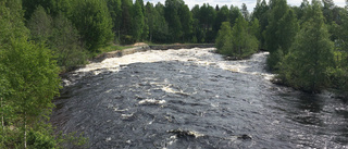 Byske: Fiskestriden har svalnat