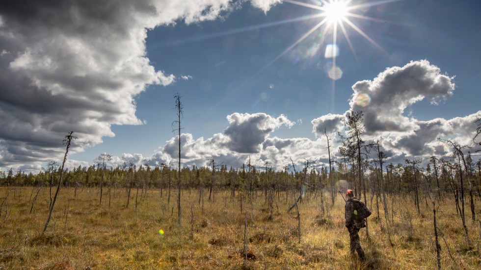 Forskare på Luleå tekniska universitet har grundligt undersökt historien för Talma samebys område och konstaterar att samer inte varit ensamma där. Deras slutsatser sår tvivel om Girjasdomen verkligen bör appliceras över hela landet.