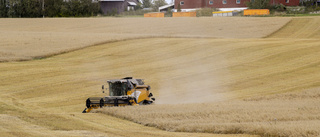 LRF växer mest i Norrbotten