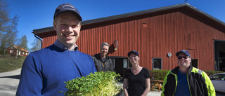 Microgreens är det nya gröna på Christineholm