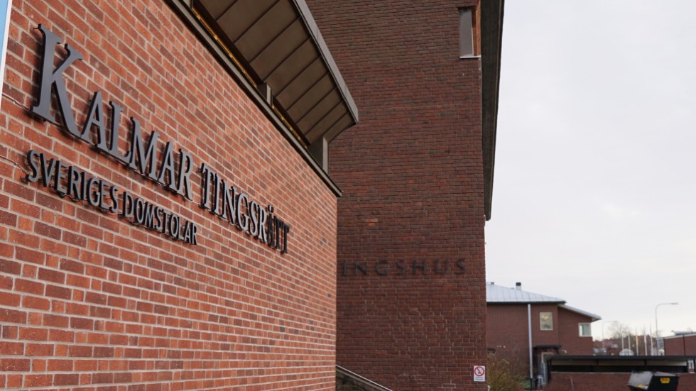 Mannen både häktas och omhäktas, misstänkt för flera våldtäkter.