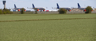 Svenska företag är beroende av goda flygförbindelser