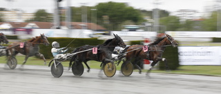 Missle Hill klar för Elitloppet