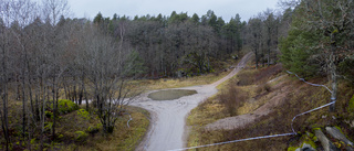 Hund från regionen ska söka efter flickan