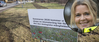 Tre blomsterängar skapas i Trosa kommun