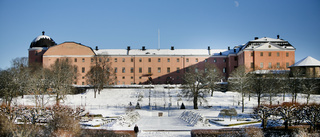 Slottet bra plats för konstmuseet