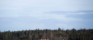 MP raserar och ödelägger landsbygden