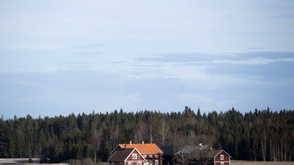 MP:s miljöpolitik ödelägger landsbygden, menar författaren till debattartikeln.