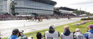 Chief Orlando klar för Elitloppet