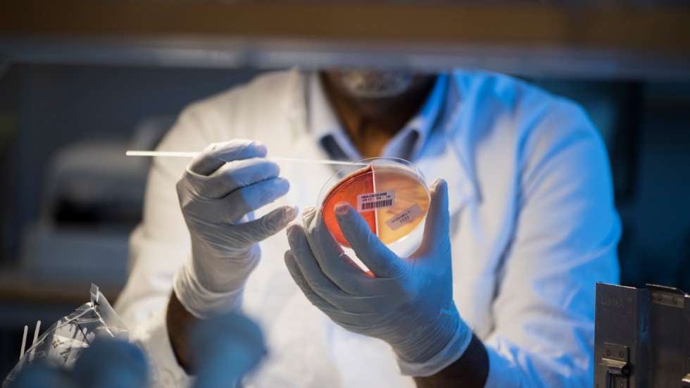 En multiresistent bakterie har spridits på ett sjukhus i Norrbotten.