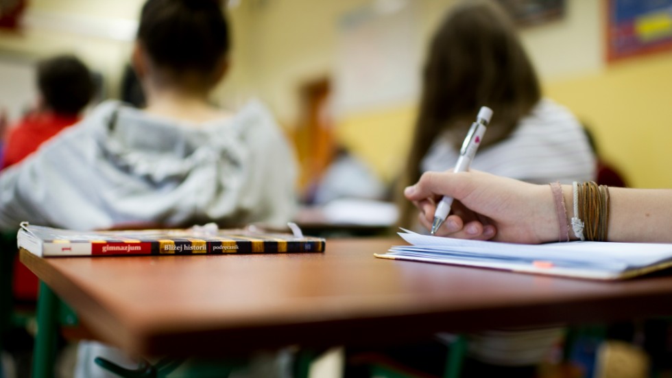 Diskrimineringsombudsmannen har granskat uppgifter om trakasserier och diskriminering på Alléskolan.