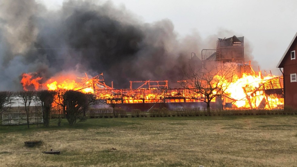 Brand i ladugård med djur