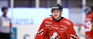 Tre ex-AIK:are byter klubbar – förra SHL-backen klar för flytt norrut: "Vi är överlyckliga. Han kommer bli en form av pappa"