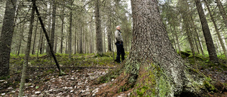 Skydda kyrkans skogar          