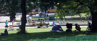 Medborgargarden när polisen står handfallen