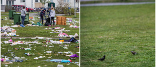 UNT TV: Så såg parken ut dagen efter