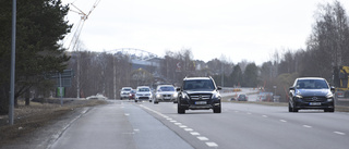 Varning för köer i trafiken på Bodenvägen 