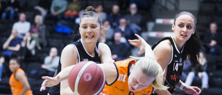 Luleå Basket stod inte pall för publiktrycket