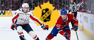 Back med NHL-meriter aktuell för Skellefteå AIK 