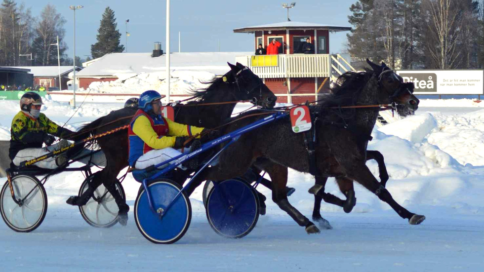 Gunnar Bertilsson och hästen Brida spurtade hem segern i V4-3. En skrällseger värd 26 gånger pengarna.