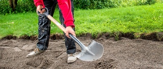 Lotten avgör när kommunen delar ut sommarjobb