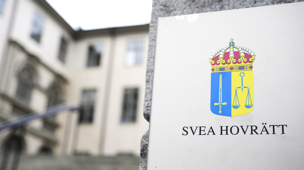Mannen som dömdes till ett års fängelse för flera brott har nu överklagat sin dom till Svea hovrätt.