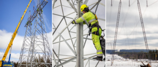 Första stolpen uppe – Svenska kraftnät hyllar markägarna