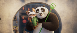 Barnens favorit "Kung fu panda" gör comeback – efter åtta år