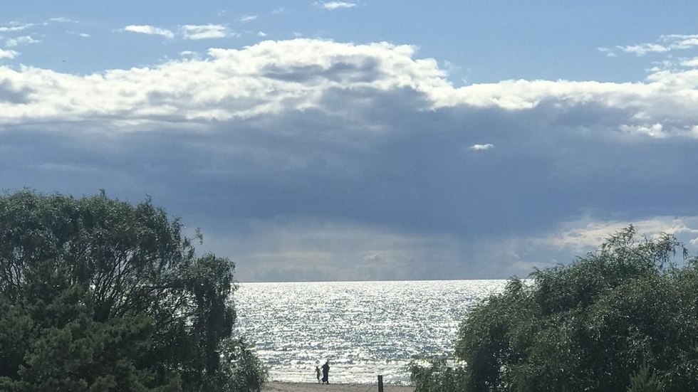 Hav och strand vid Tofta.