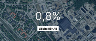 Så gick det för Lillpite Rör AB 2023