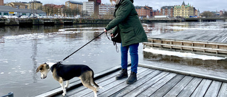 TV: Hör henne berätta om dramat i hamnen