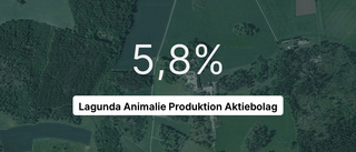 Så gick det för Lagunda Animalie Produktion AB