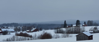 Vindkraft är den gröna omställningens baksida