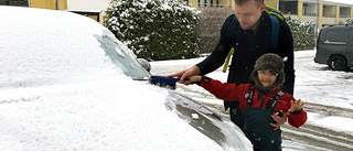 Hazel sopar undan säsongens sista snö