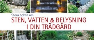 Lys upp trädgården