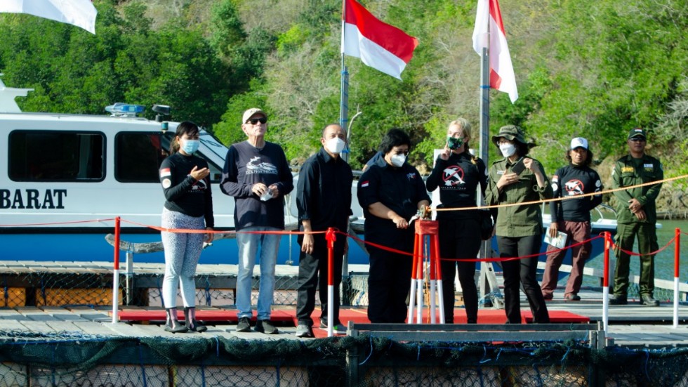 Representanter för Indonesiens regering var på plats för att bevittna frisläppandet på Bali.