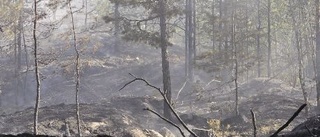 Förstärkning på väg till Valdemarsvik