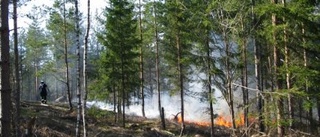 Stor brandfara i skog och mark