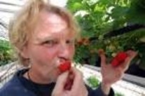 Tomatodlaren som blir bas för jazzfestival