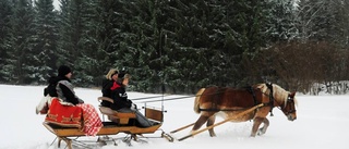 Med häst och släde genom snön