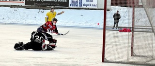 Tjust Bandy dominerade