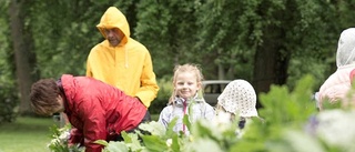 Annorlunda majstång i Ankarsrum