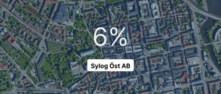 Konsultbolagets ägare kunde ta ut högsta summan på fem år