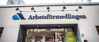 Arbetsförmedlaren anmäls för jäv