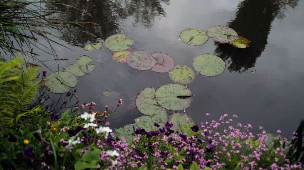 En parkchef i en Norrlandsskommun får sparken efter att ha låtit kommunens personal bygga en japansk paviljong i dennes trädgård. Arkivbild.