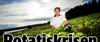 Kristider hotar Norrbottens potatisodlare